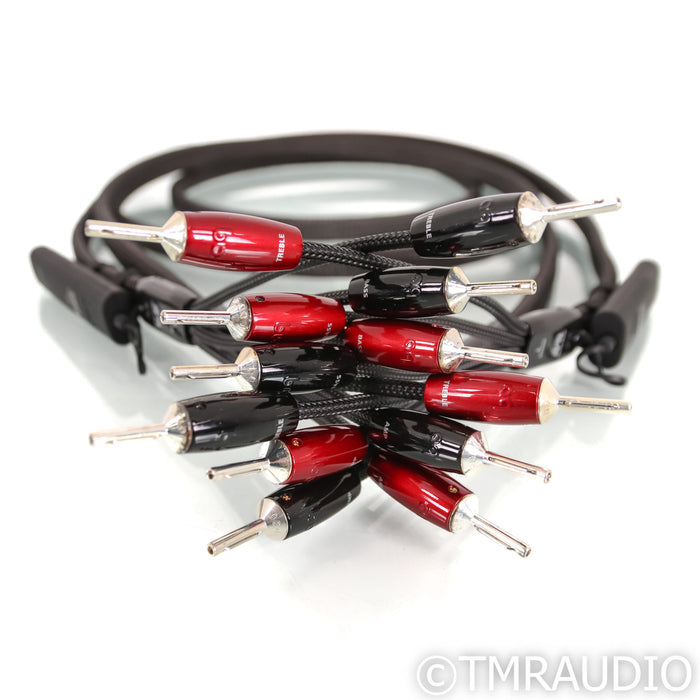AudioQuest Castle Rock Bi-Wire Speaker Cables; 8ft Pair; 72v DBS