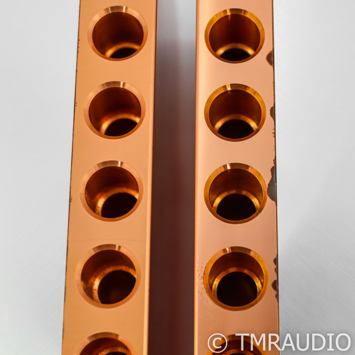 Dan D'Agostino Momentum M400 Mono Power Amplifier; Pair