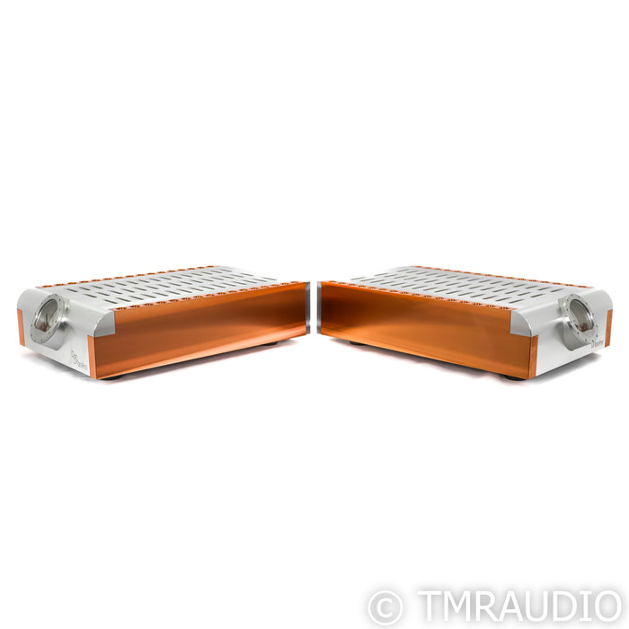 Dan D'Agostino Momentum M400 Mono Power Amplifier; Pair