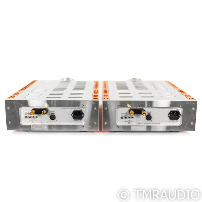Dan D'Agostino Momentum M400 Mono Power Amplifier; Pair