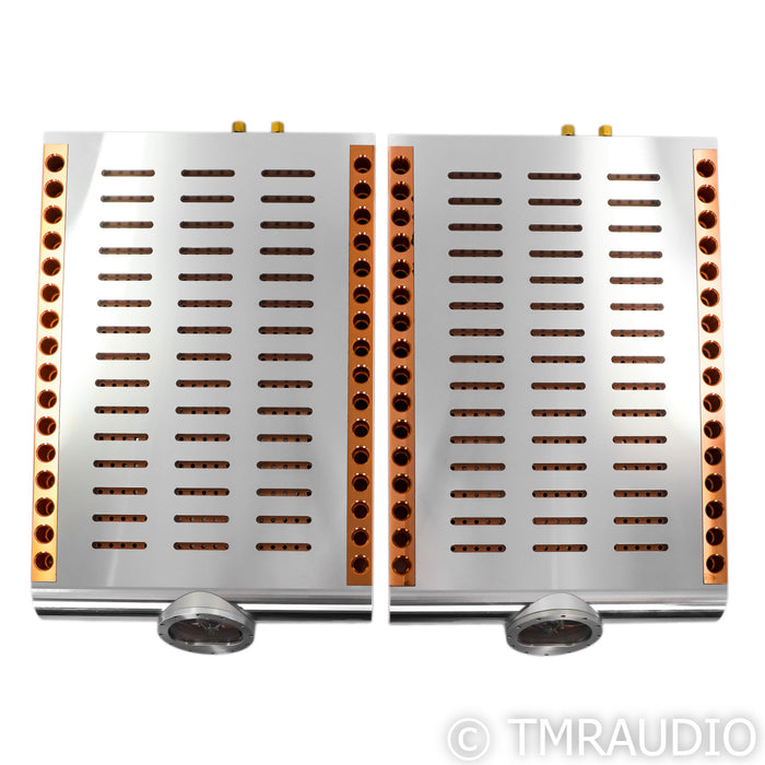 Dan D'Agostino Momentum M400 Mono Power Amplifier; Pair