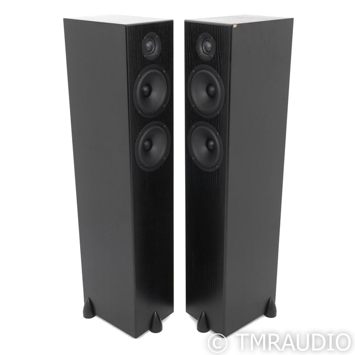 Totem Acoustics Bison Twin Tower Floorstanding Speakers; Black Ash Pair (Open Box)