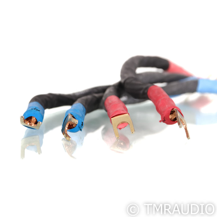 Kubala-Sosna Elation Jumper Cables; Set of 4; 8"