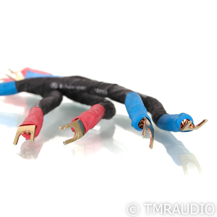 Kubala-Sosna Elation Jumper Cables; Set of 4; 8"