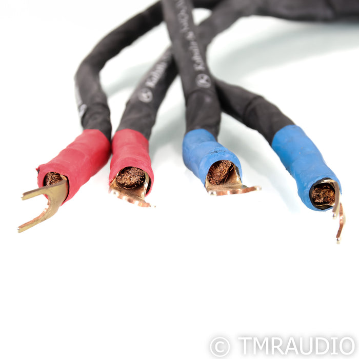 Kubala-Sosna Elation Jumper Cables; Set of 4; 12"