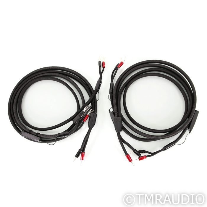 AudioQuest William Tell Silver Bi-Wire Speaker Cables; 8ft Pair; 72v DBS