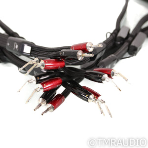 AudioQuest William Tell Silver Bi-Wire Speaker Cables; 8ft Pair; 72v DBS