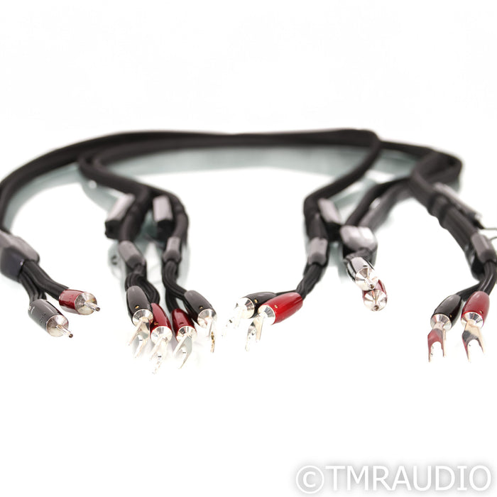 AudioQuest William Tell Silver Bi-Wire Speaker Cables; 8ft Pair; 72v DBS
