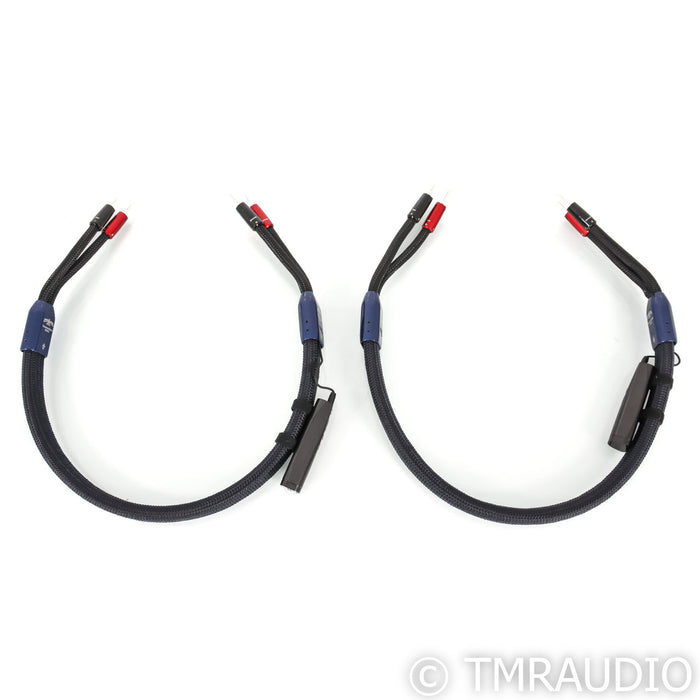 AudioQuest ThunderBird ZERO Speaker Cables; 3ft Pair; 72v DBS