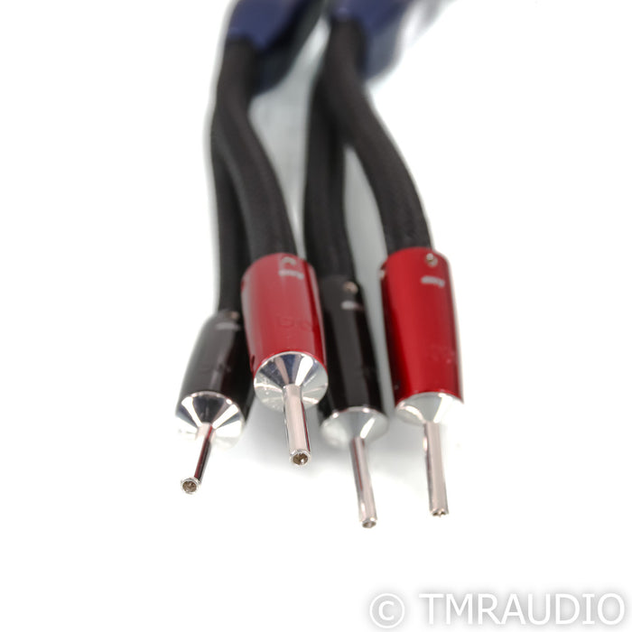 AudioQuest ThunderBird ZERO Speaker Cables; 3ft Pair; 72v DBS