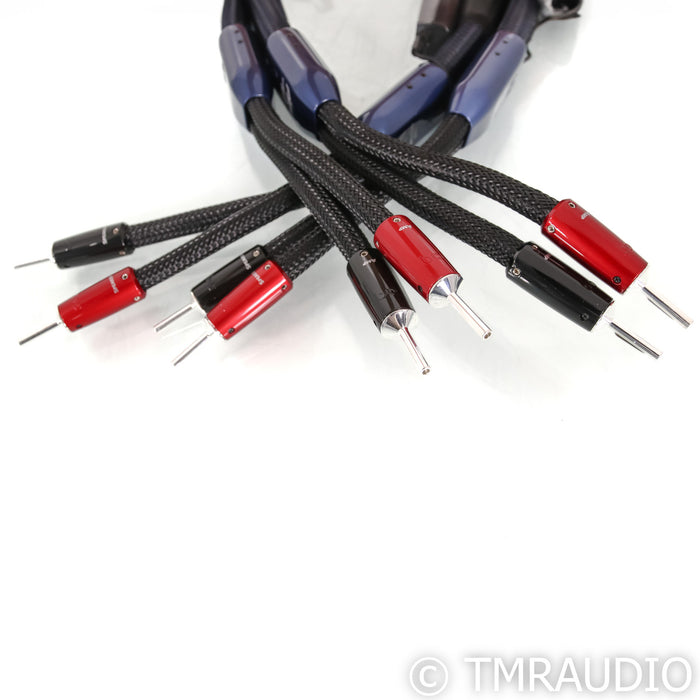 AudioQuest ThunderBird ZERO Speaker Cables; 3ft Pair; 72v DBS