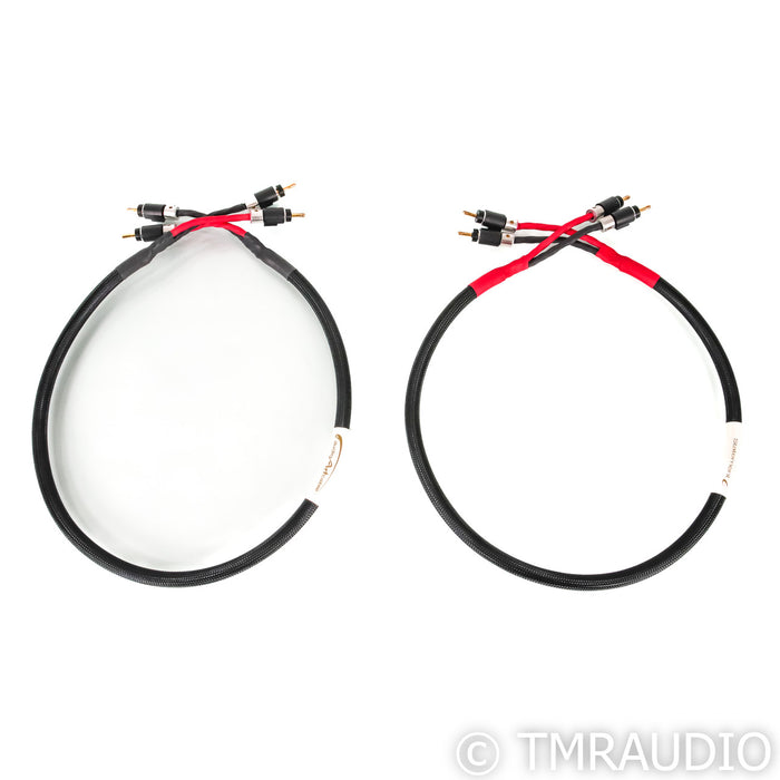 Audio Art Cable Statement e SC Cryo Speaker Cables; 3.5ft Pair; Gold Banana