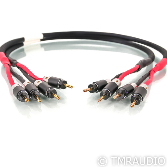Audio Art Cable Statement e SC Cryo Speaker Cables; 3.5ft Pair; Gold Banana