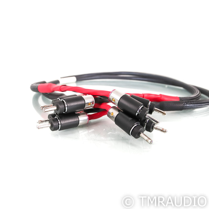 Audio Art Cable Statement e SC Cryo Speaker Cables; 4ft Pair; Rhodium Banana