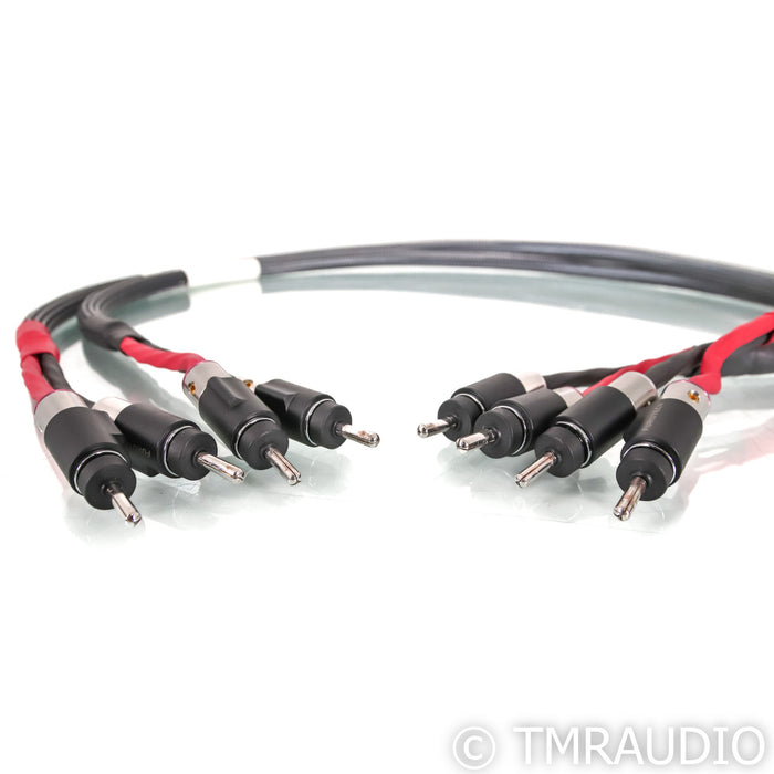 Audio Art Cable Statement e SC Cryo Speaker Cables; 4ft Pair; Rhodium Banana