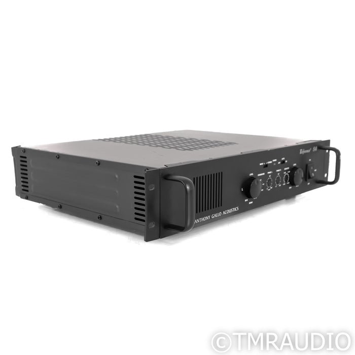 Anthony Gallo Acoustics Reference 3 SA Stereo / Mono Subwoofer Amplifier