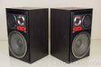 Aiwa SX-12 3-way Acoustic Suspension Speakers in Factory Box