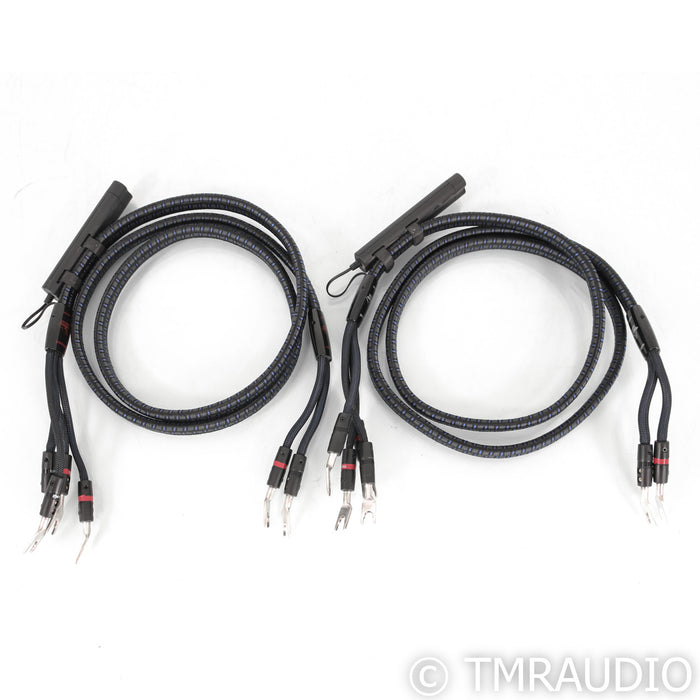 AudioQuest Gibraltar Bi-Wire Speaker Cables; 6ft Pair; 72v DBS