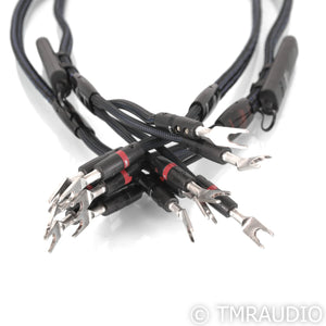 AudioQuest Gibraltar Bi-Wire Speaker Cables; 6ft Pair; 72v DBS
