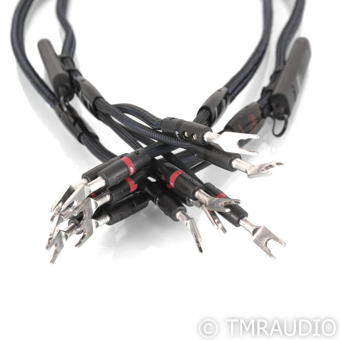 AudioQuest Gibraltar Bi-Wire Speaker Cables; 6ft Pair; 72v DBS