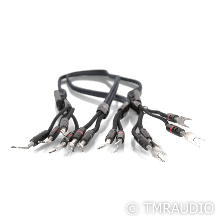AudioQuest Gibraltar Bi-Wire Speaker Cables; 6ft Pair; 72v DBS
