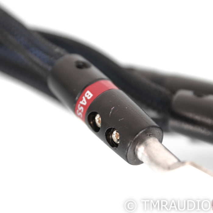 AudioQuest Gibraltar Bi-Wire Speaker Cables; 6ft Pair; 72v DBS
