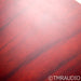 Dynaudio Special Twenty-Five Bookshelf Speakers; Rosewood Pair; Special 25