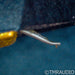 Soundsmith Zephyr MkIII Moving Iron Phono Cartridge; MI; Mark 3