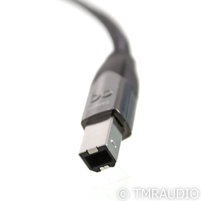 AudioQuest Carbon USB Cable; 0.75m Digital Interconnect