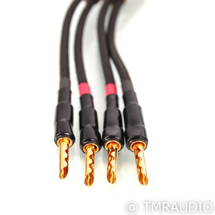 Audience frontRow Speaker Cables; 3m Pair Banana
