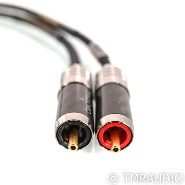 Audience frontRow RCA Cable; 1m Pair Interconnect