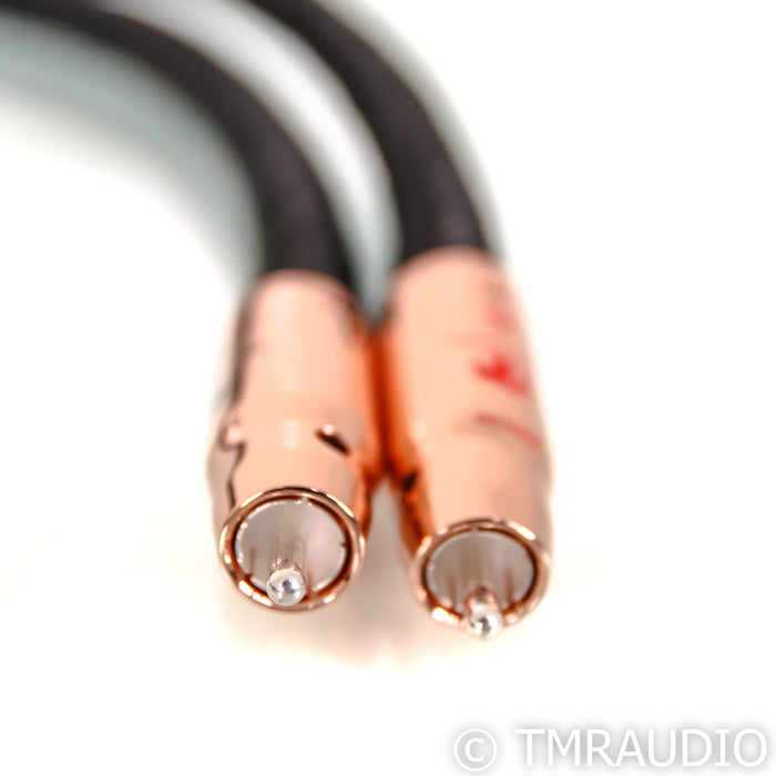 AudioQuest Black Beauty RCA Cables; 1m Pair Interconnects (Open Box)