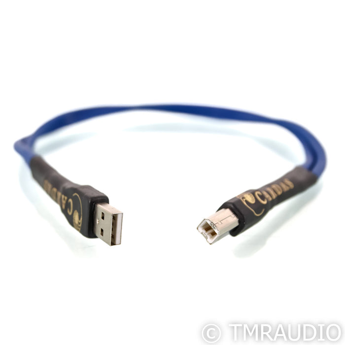 Cardas Clear Serial Buss Rev 1 USB Cable; 0.5m Digital Interconnect