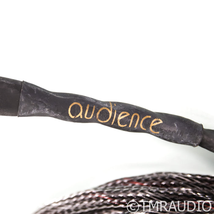 Audience OHNO III Speaker Cables; 3m Pair