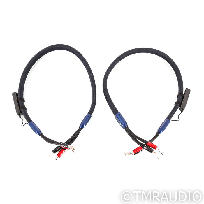 AudioQuest ThunderBird ZERO Speaker Cables; 4ft Pair