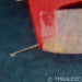 Lyra Delos MC Phono Cartridge; Moving Coil