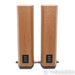 ATC SCM 40 Gen2 Floorstanding Speakers; SCM40; Cherry Pair