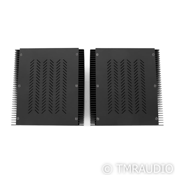 Van Alstine DVA M225 Mono Power Amplifier