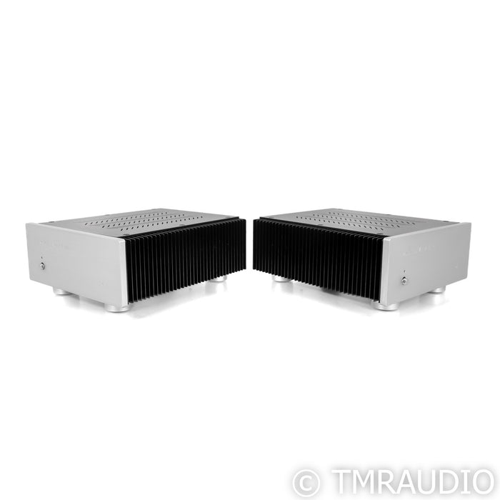 Van Alstine DVA M225 Mono Power Amplifier