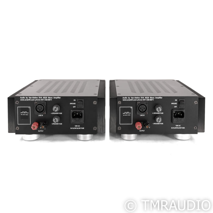 Van Alstine DVA M225 Mono Power Amplifier