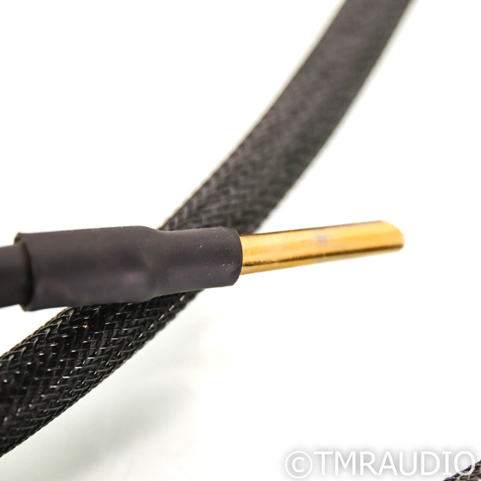 Synergistic Research Core UEF Level 2 Bi-Wire Speaker Cables; 8ft Pair