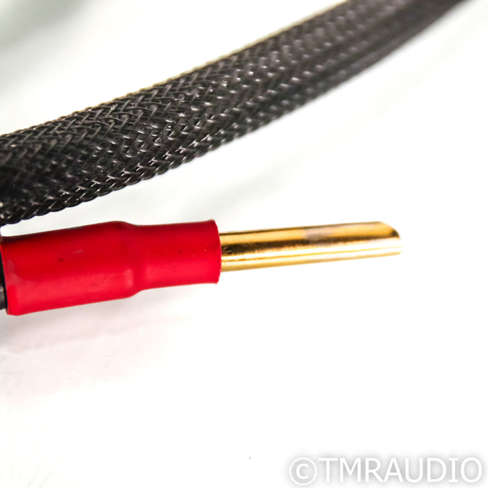 Synergistic Research Core UEF Level 2 Bi-Wire Speaker Cables; 8ft Pair