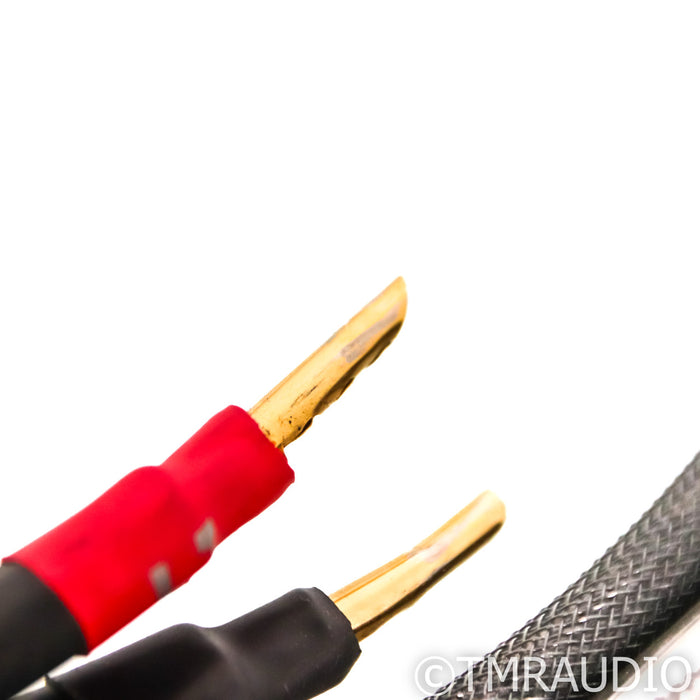 Synergistic Research Core UEF Level 2 Bi-Wire Speaker Cables; 8ft Pair