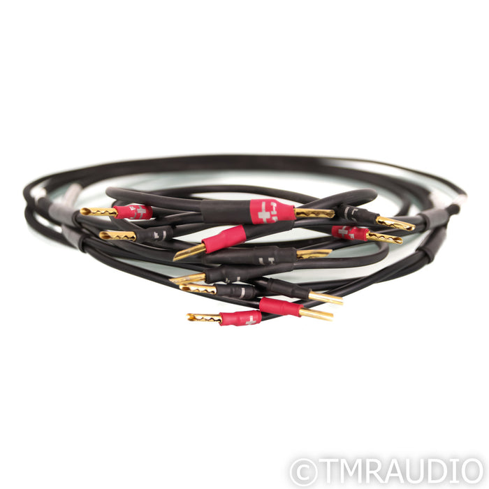 Synergistic Research Core UEF Level 2 Bi-Wire Speaker Cables; 8ft Pair