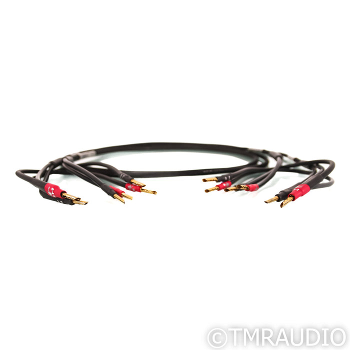 Synergistic Research Core UEF Level 2 Bi-Wire Speaker Cables; 8ft Pair