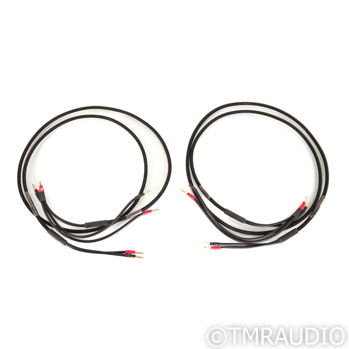 Synergistic Research Core UEF Level 2 Bi-Wire Speaker Cables; 8ft Pair