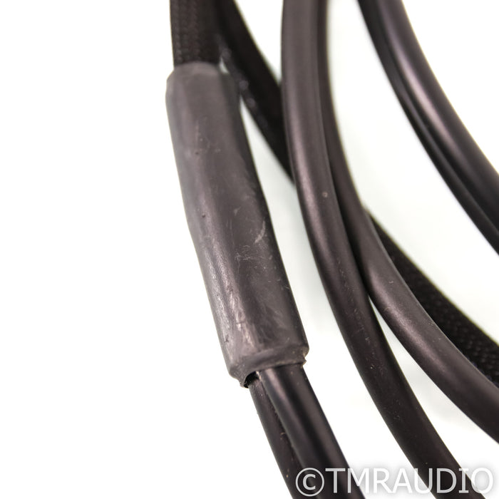 Synergistic Research Core UEF Level 2 Bi-Wire Speaker Cables; 8ft Pair