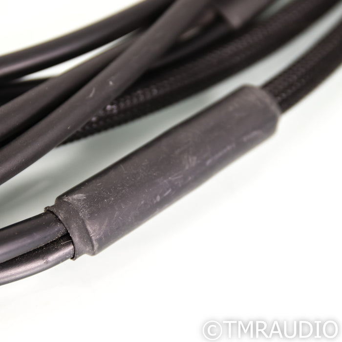 Synergistic Research Core UEF Level 2 Bi-Wire Speaker Cables; 8ft Pair