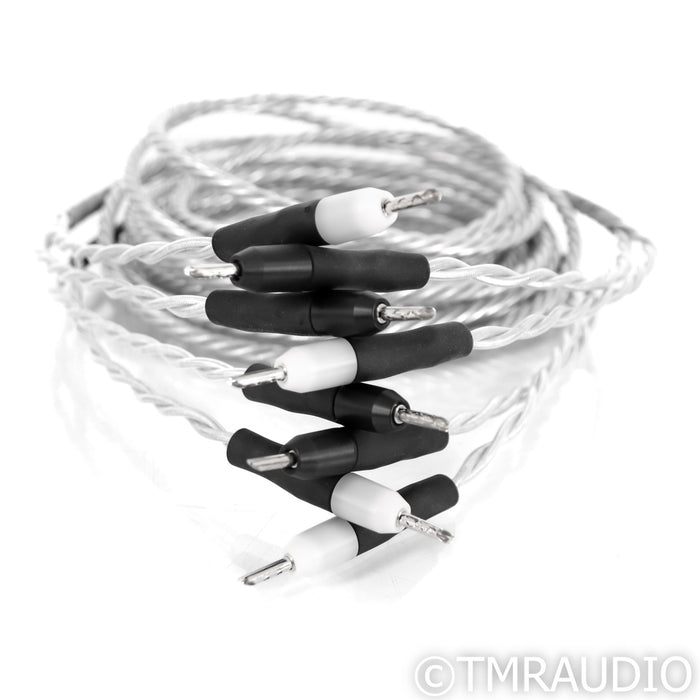 Ansuz Acoustics Speakz X Speaker Cables; 5m Pair