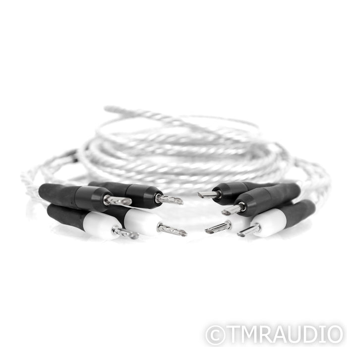 Ansuz Acoustics Speakz X Speaker Cables; 5m Pair